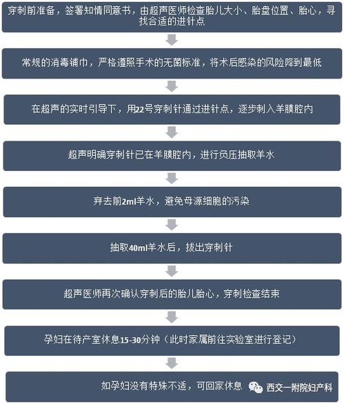 羊水穿刺检查费用多少钱:羊水穿刺检查费用参考,全面解析与价格明细 羊水穿刺检查费用多少钱:羊水穿刺检查费用参考,全面解析与价格明细
