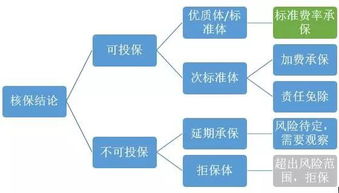保险风险识别与保险核保流程?