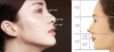 鼻子综合整形多少钱了：鼻子整形费用全面分析，综合鼻整形价格参考指南