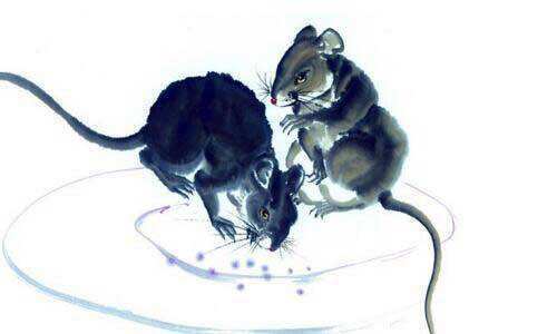 属相马和蛇结婚吉日:属相马和蛇结婚吉日,传统婚配与择日指南 属相马和蛇结婚吉日:属相马和蛇结婚吉日,传统婚配与择日指南