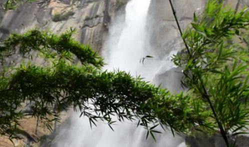 属相马和蛇结婚吉日:属相马和蛇结婚吉日,传统婚配与择日指南