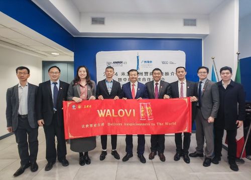 广州医药集团有限公司：广州医药集团有限公司，国企改革的破局者，引领医药产业新未来