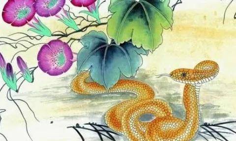 2022年属蛇人的全年运势:2022年属蛇人运势全解析,稳中求进,破局开运指南 2022年属蛇人的全年运势:2022年属蛇人运势全解析,稳中求进,破局开运指南