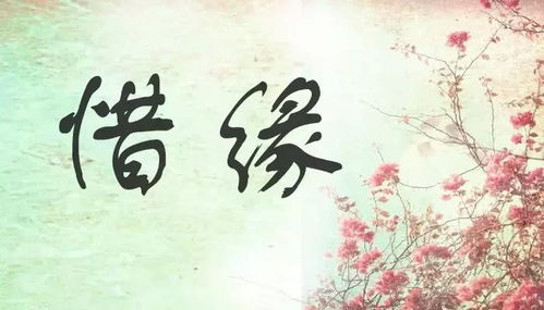 己卯日男命姻缘如何:揭秘己卯日男命姻缘,天造地设的缘分还是坎坷崎岖?