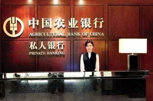 银行私人银行服务适合什么人?