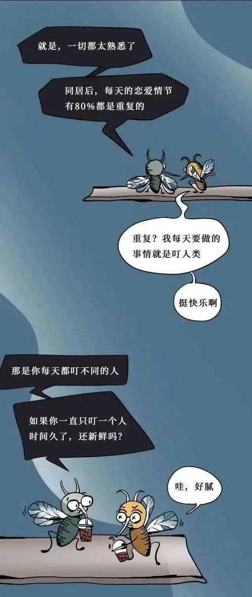 未来另一半画像测试免费:免费测试你的未来另一半画像,科学揭秘爱情匹配的三大核心要素 未来另一半画像测试免费:免费测试你的未来另一半画像,科学揭秘爱情匹配的三大核心要素