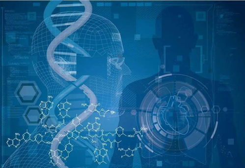 未来另一半画像测试免费:免费测试你的未来另一半画像,科学揭秘爱情匹配的三大核心要素