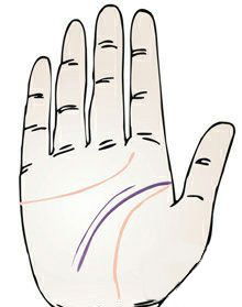 手纹姻缘线有交叉的：手纹中的姻缘线，解读交叉的象征与现实意义