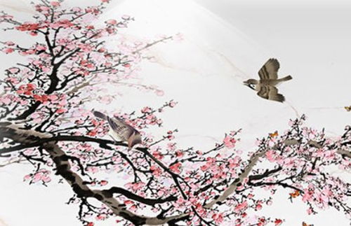 81年鸡人40岁后命运:1981年鸡人,40岁后人生下半场的运势转折与破局之道