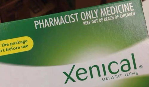 奥利司他吃了只排油不减重为什么:奥利司他吃了只排油不减重?真相原来是这样! 奥利司他吃了只排油不减重为什么:奥利司他吃了只排油不减重?真相原来是这样!