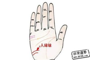 看手相算命准吗能信吗:看手相算命准吗?科学视角下的玄学信仰与现实边界 看手相算命准吗能信吗:看手相算命准吗?科学视角下的玄学信仰与现实边界