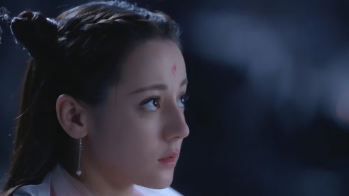 东华凤九的念姻缘:东华凤九的念姻缘,一场跨越千年的宿命纠葛