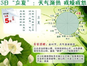 小暑节气算命方法:小暑节气算命方法,传统智慧中的阴阳平衡与命理启示