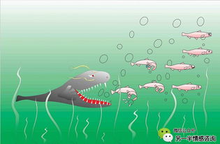 梦见自己用手抓到鱼:梦境中的鱼,从心理学到现实机遇的启示