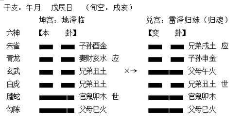 龟壳摇卦六十四卦:龟壳摇卦,六十四卦中的古老智慧与神秘力量