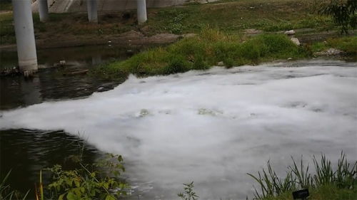 梦见河里涨大水很浑浊:梦见河里涨大水很浑浊